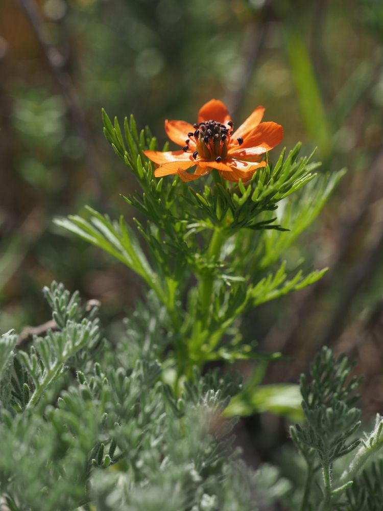 Photograph by Алексей Поляков