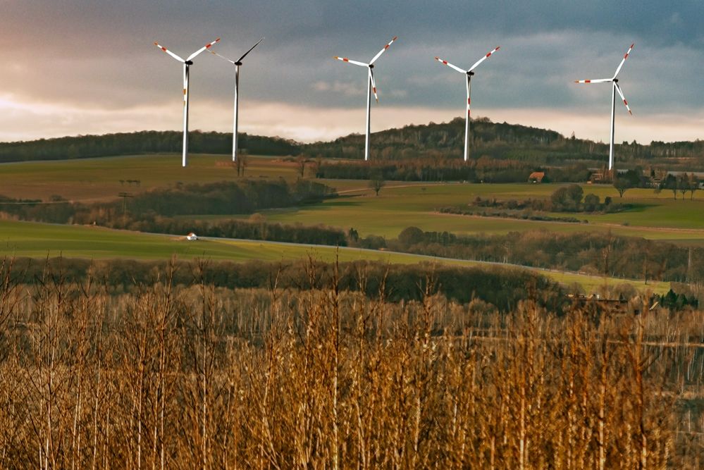 Photograph by Kveta Novotna