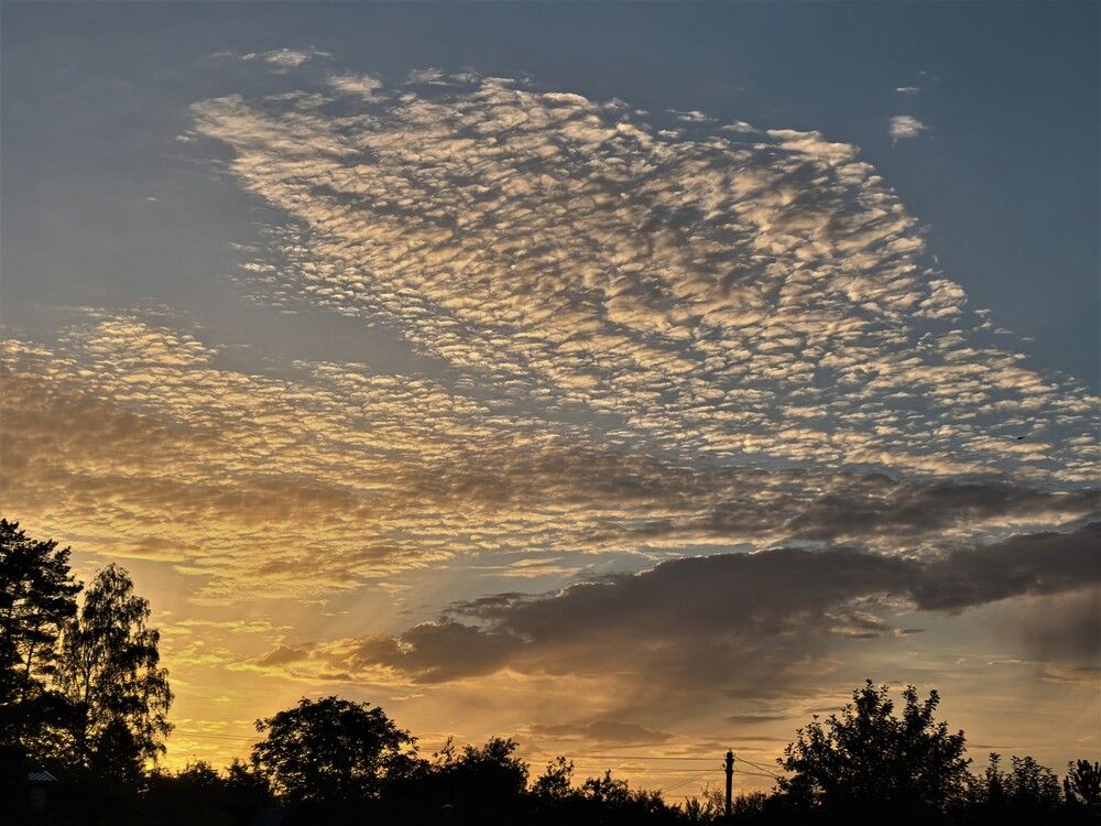 Photograph by Marija Stanislavich