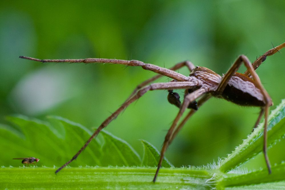 Photograph by Borislav Kostov