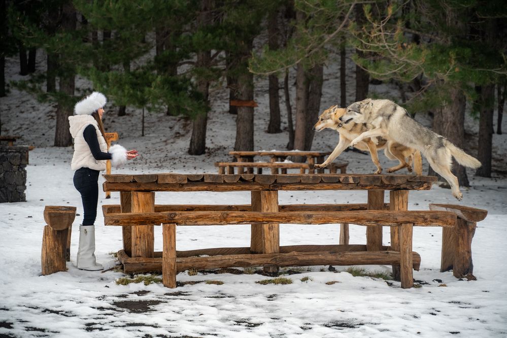 Фотография автора Miriam Pulejo