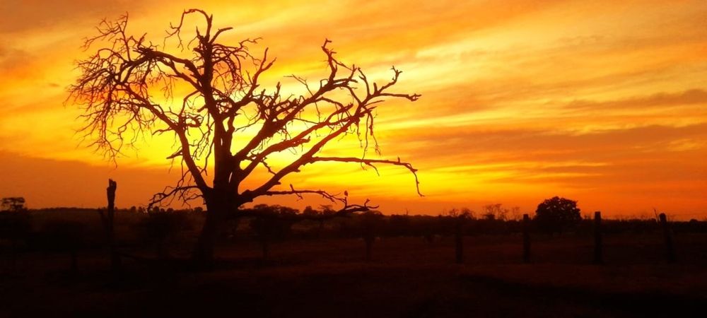 Photograph by Régis Santos