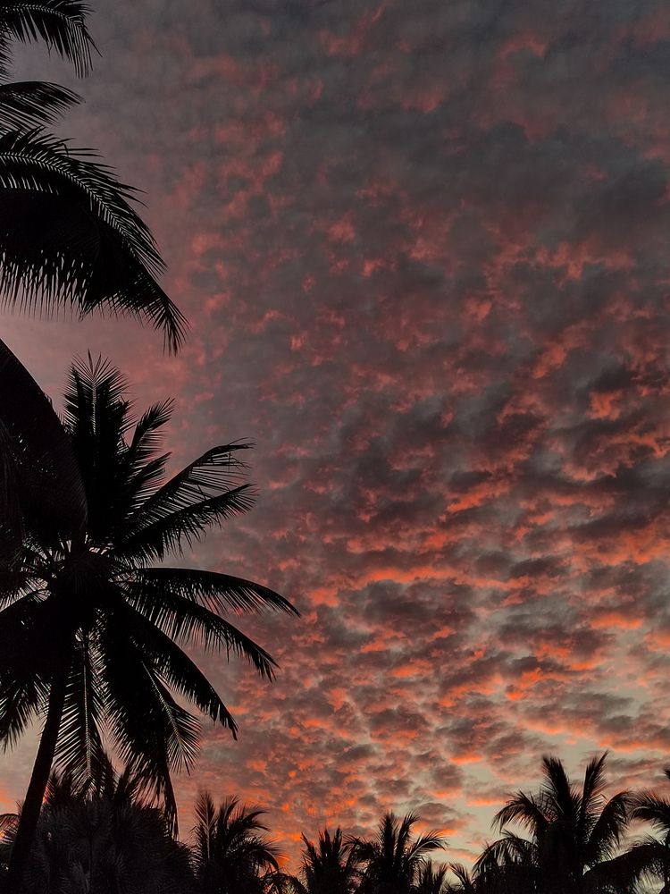 Photograph by Мария Ванина