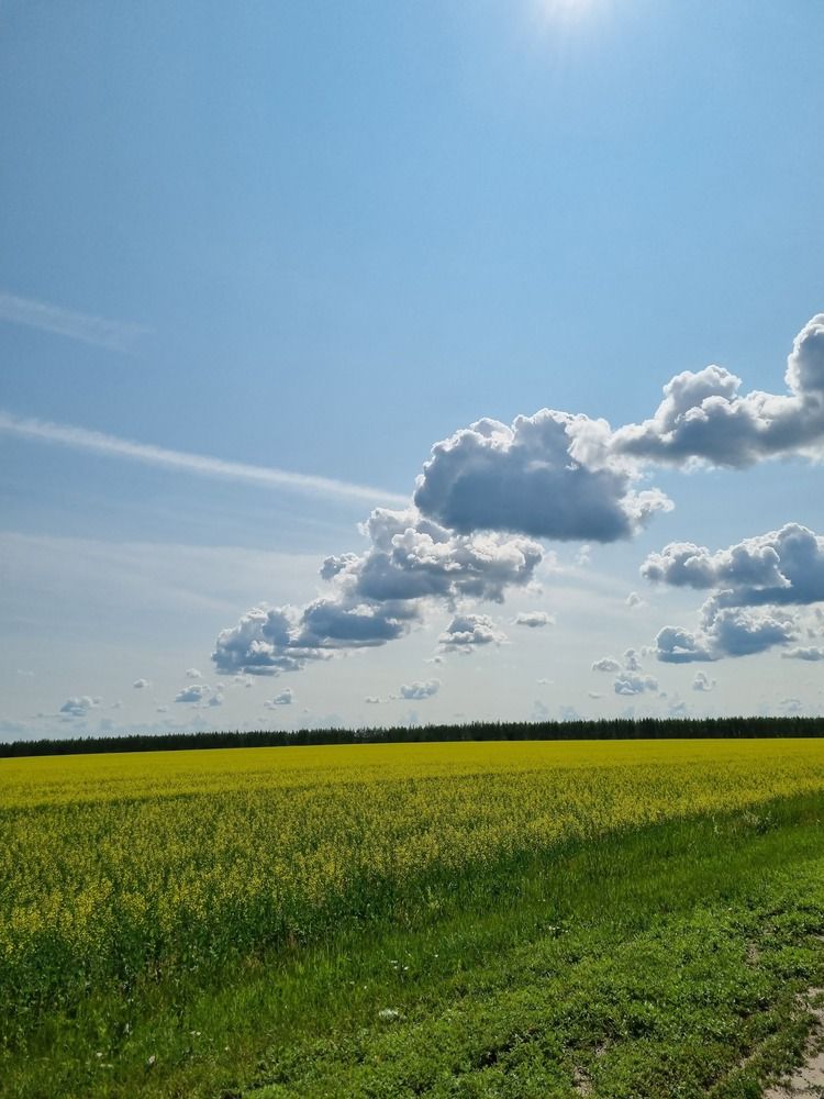 Фотография автора Наталья Агапова