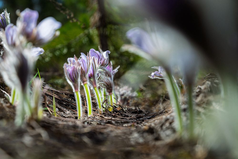 Фотография автора Даниил Мигунов