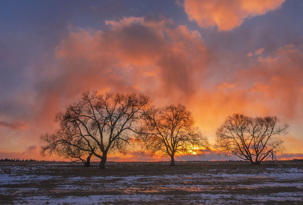 Фотография автора Andrew Kuzmin