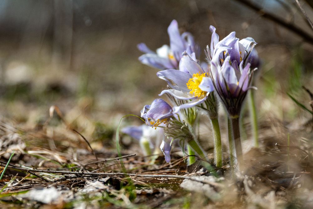 Фотография автора Даниил Мигунов