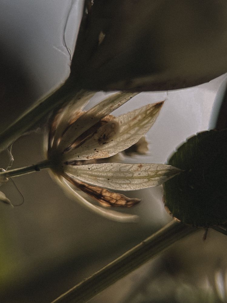 Photograph by Виктория Казакова