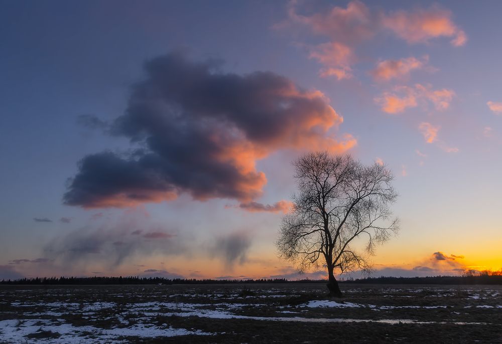 Фотография автора Andrew Kuzmin