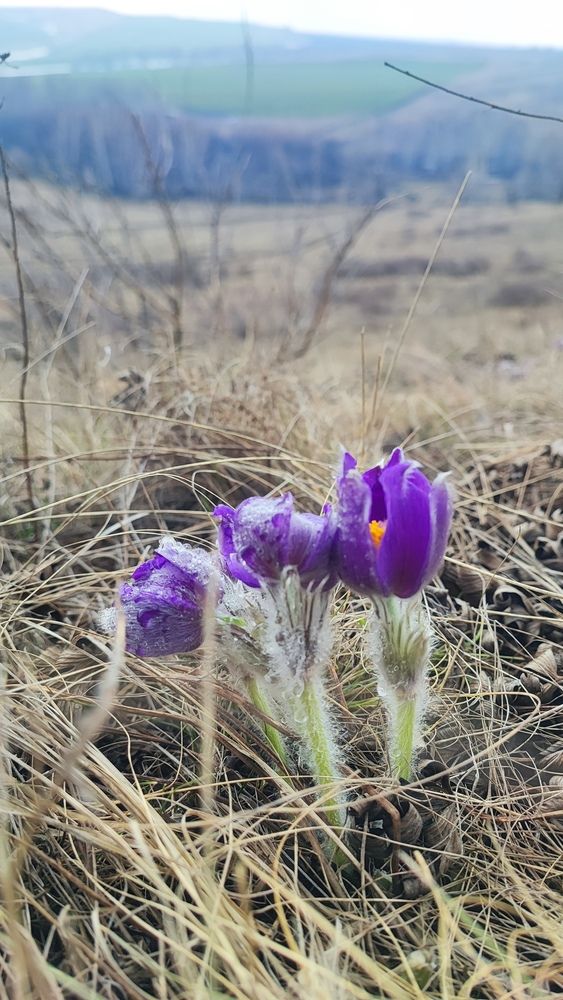 Photograph by Iskander