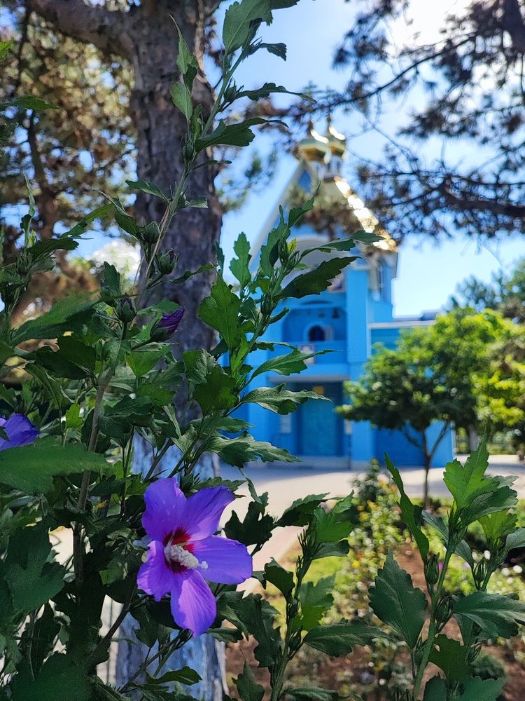 Photograph by Iskander