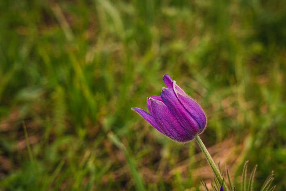 Photograph by Елена Титенская
