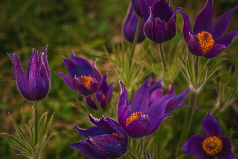 Photograph by Елена Титенская