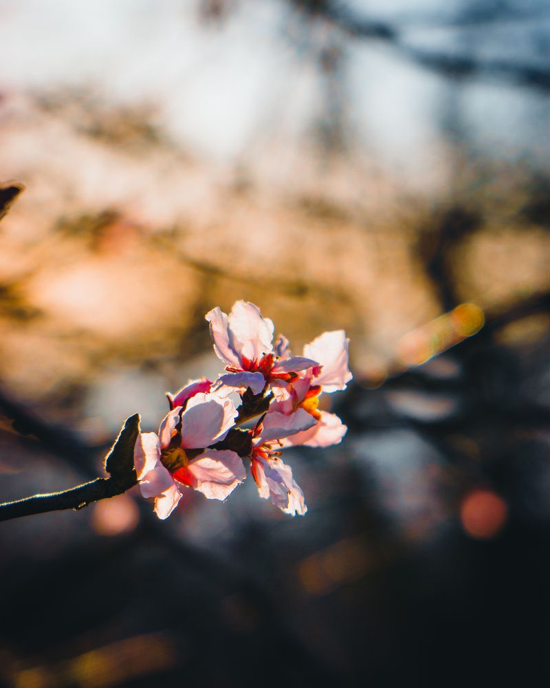 Фотография автора Николай Николин