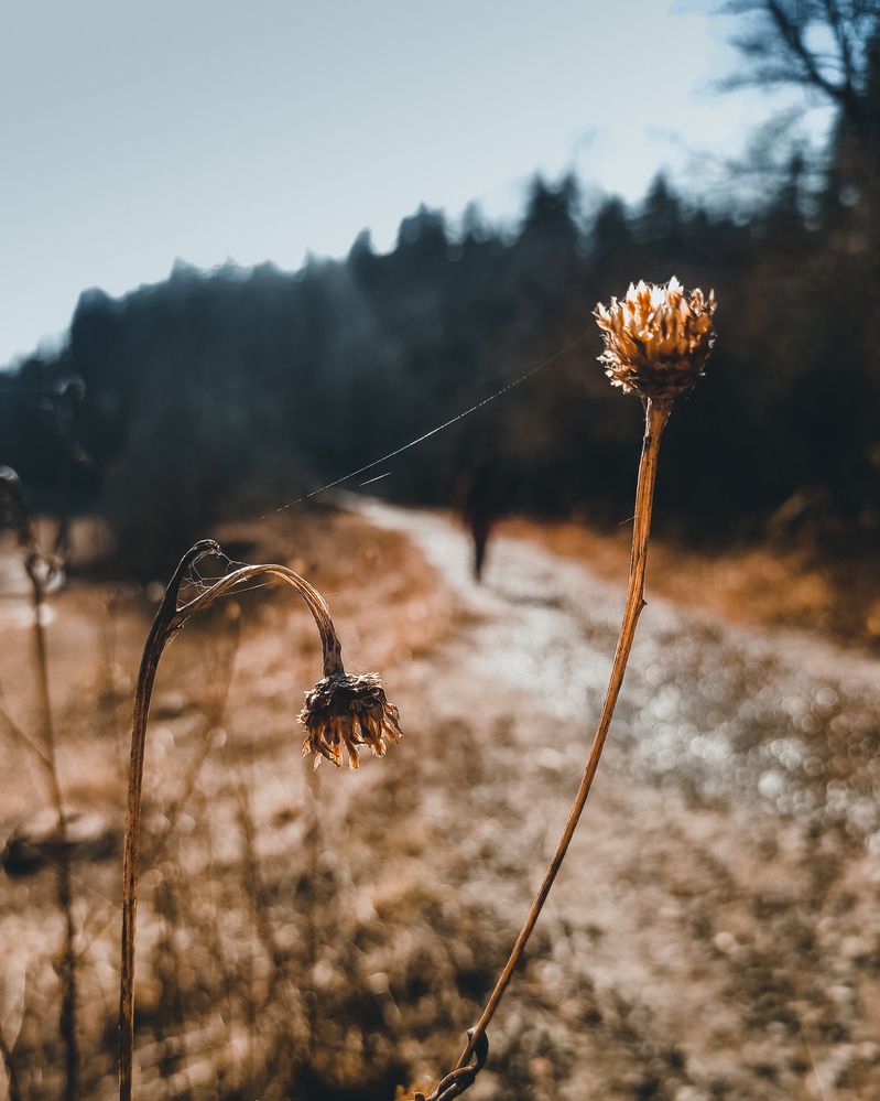Фотография автора Николай Николин