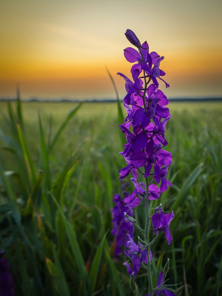 Photograph by Igor Maksimenko