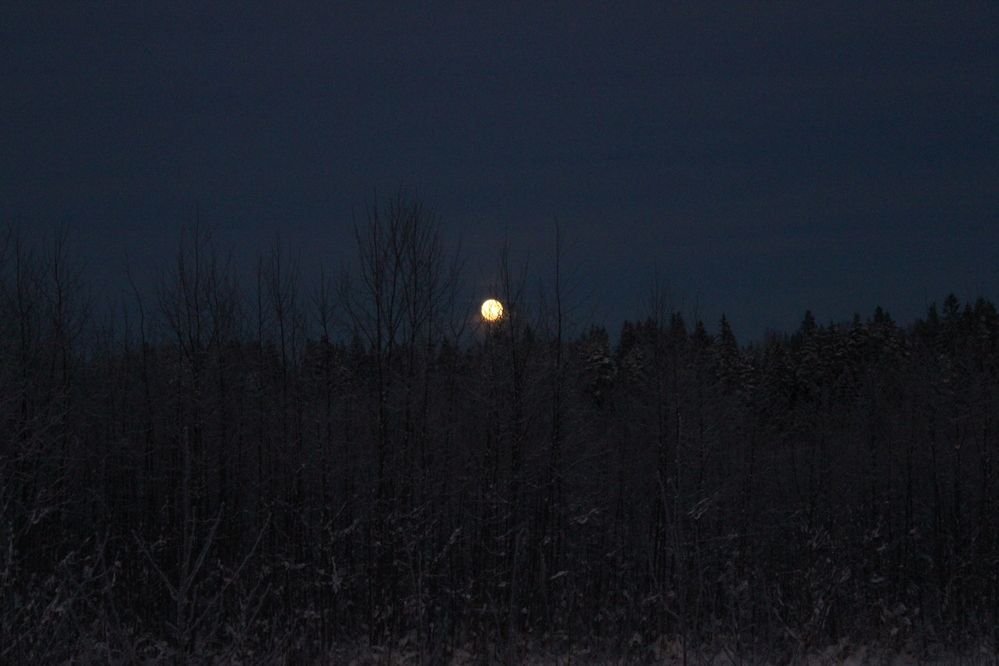 Photograph by Olga Bagaeva