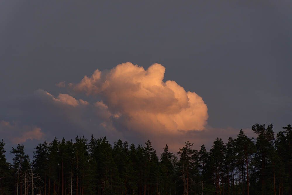 Фотография автора Dana Korolkova