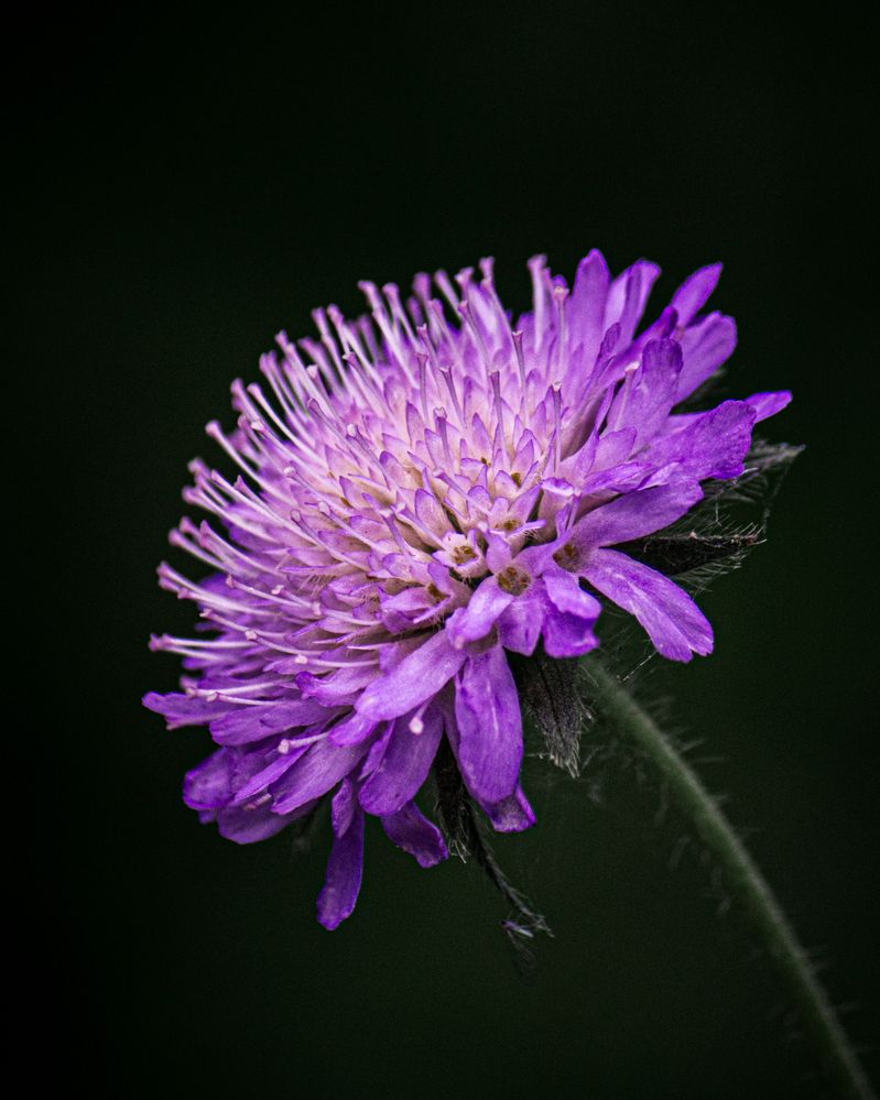 Photograph by Mikhail