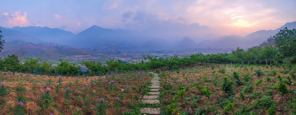 Photograph by esti lahat