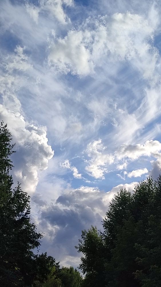 Photograph by Полина Скурская