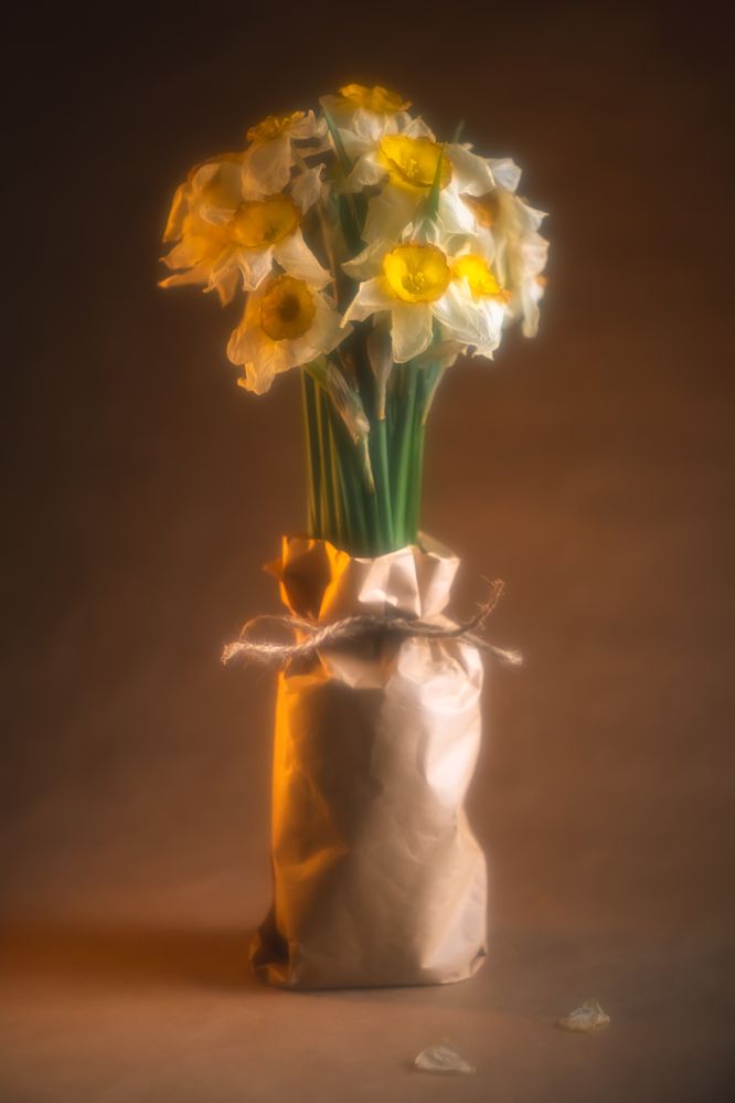 Photograph by Ольга Ильина