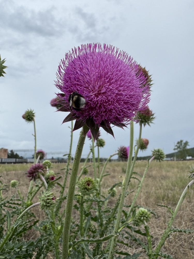 Photograph by Анастасия Самойленко