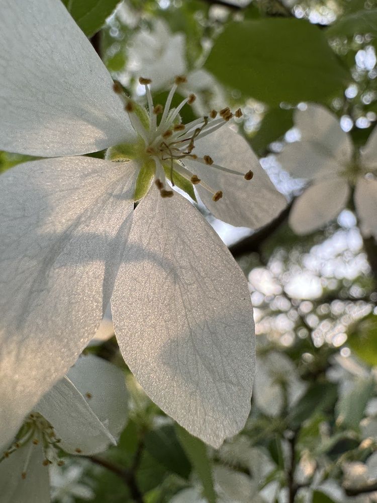 Photograph by Анастасия Самойленко