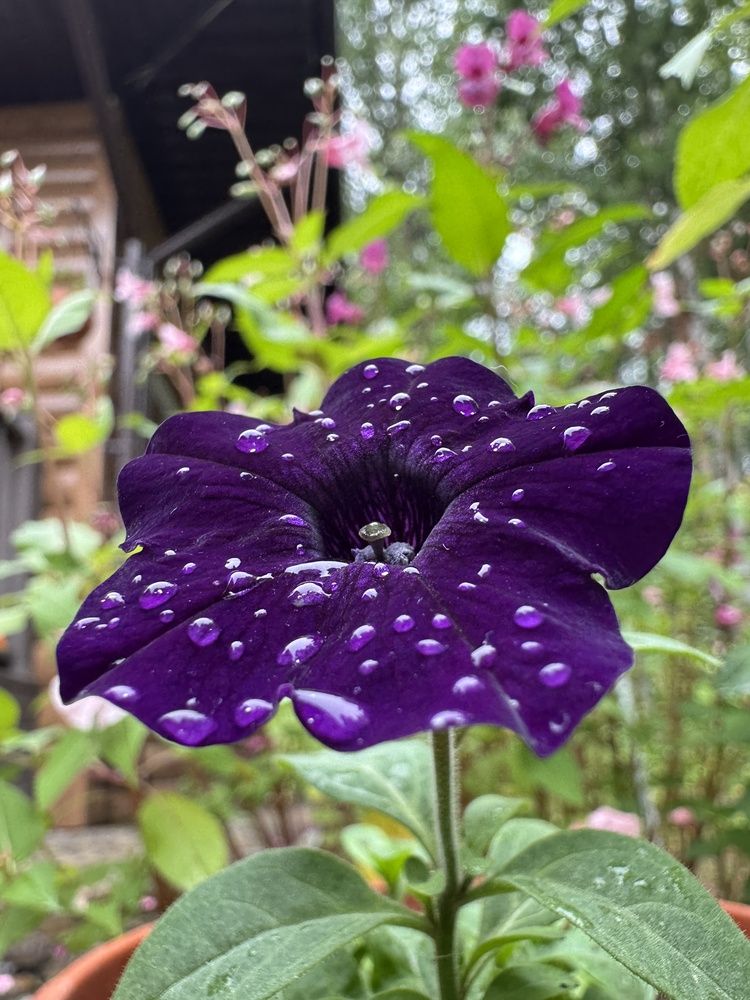 Photograph by Анастасия Самойленко