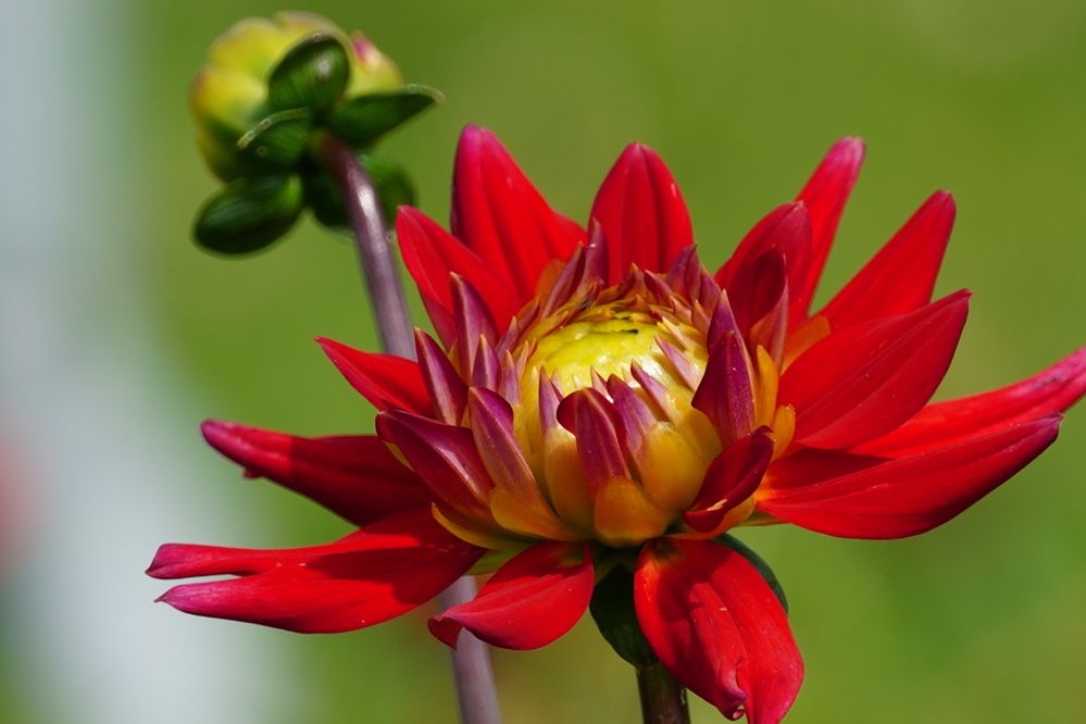 Фотография автора Sergej Roor