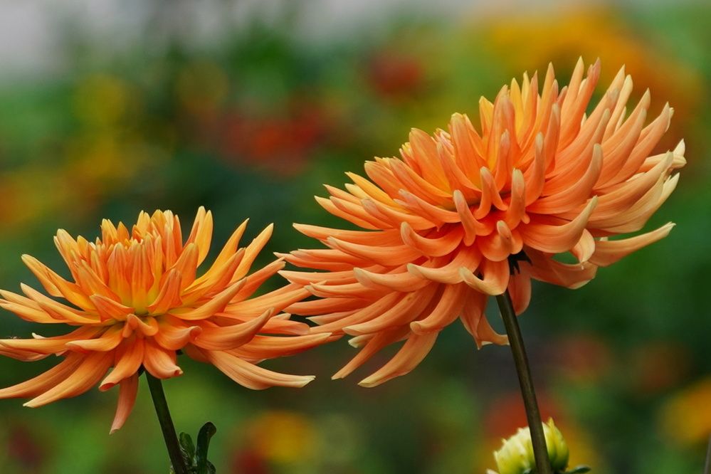 Фотография автора Sergej Roor