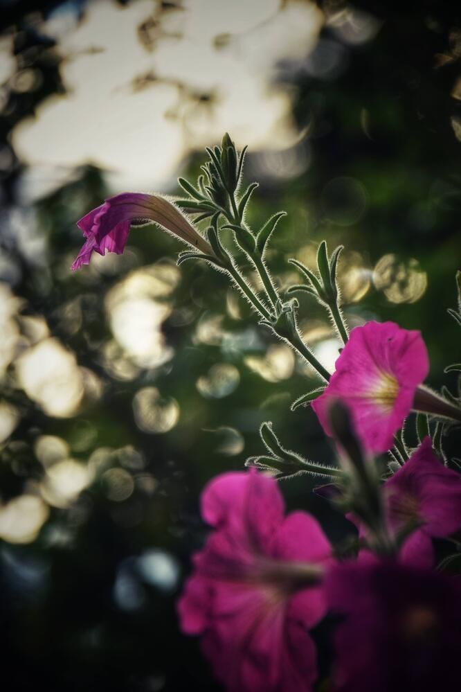 Photograph by Митюшкова Алёна