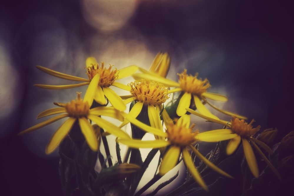 Photograph by Митюшкова Алёна