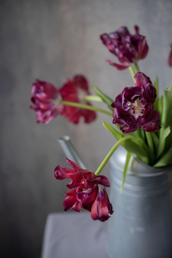 Photograph by Елена Черненкова