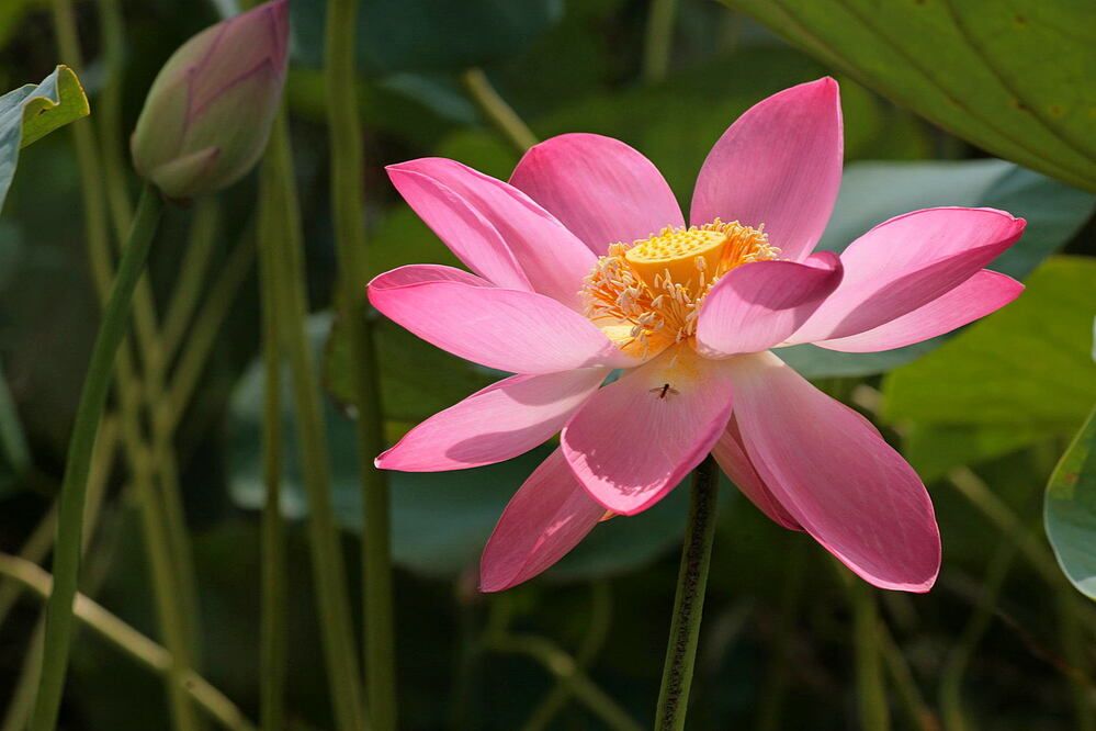 Фотография автора Александр Кожевников