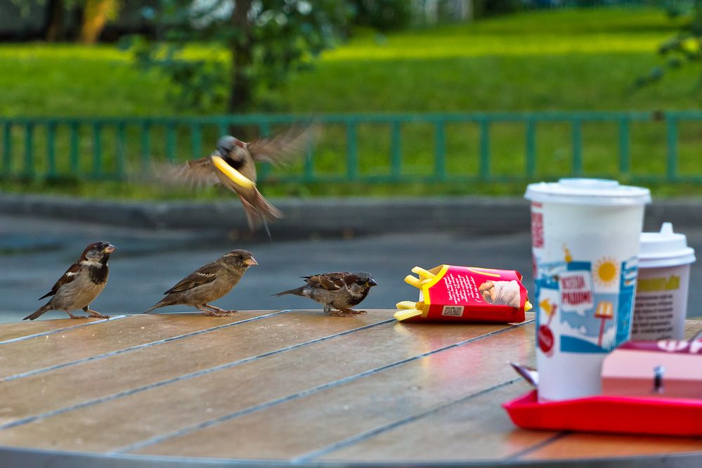 Photograph by PYATNITSKIY ANDREY