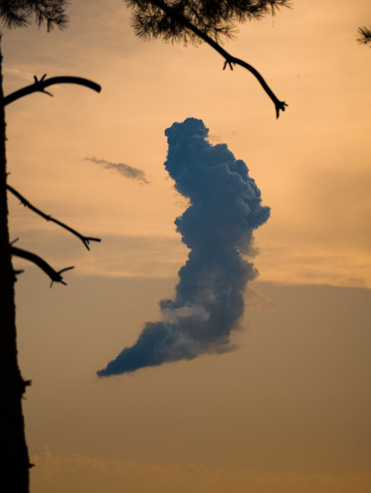 Photograph by Konstantin Martynov