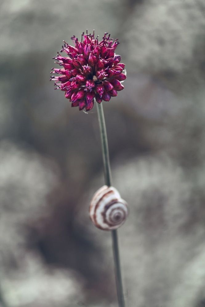 Photograph by Екатерина Иванова