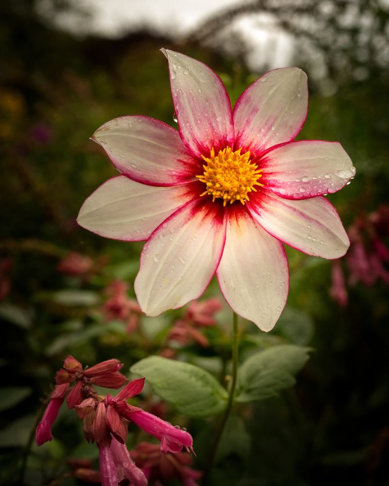 Photograph by Геннадий Зильберис