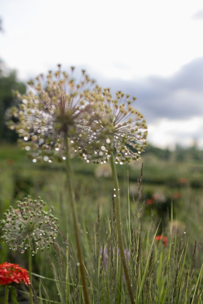 Photograph by Татьяна Колобаева