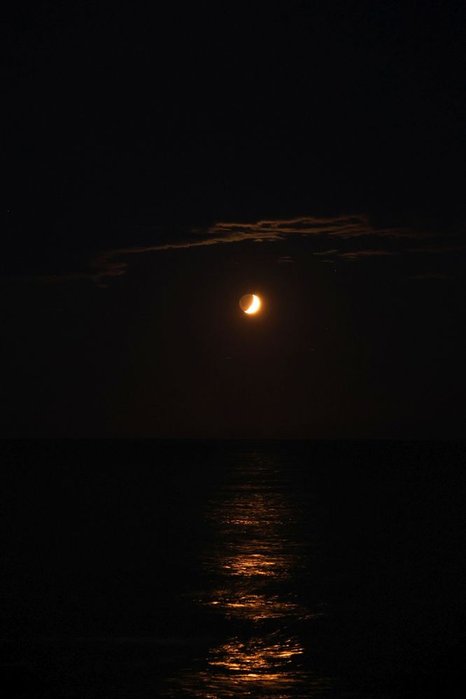 Photograph by Марина Иванникова