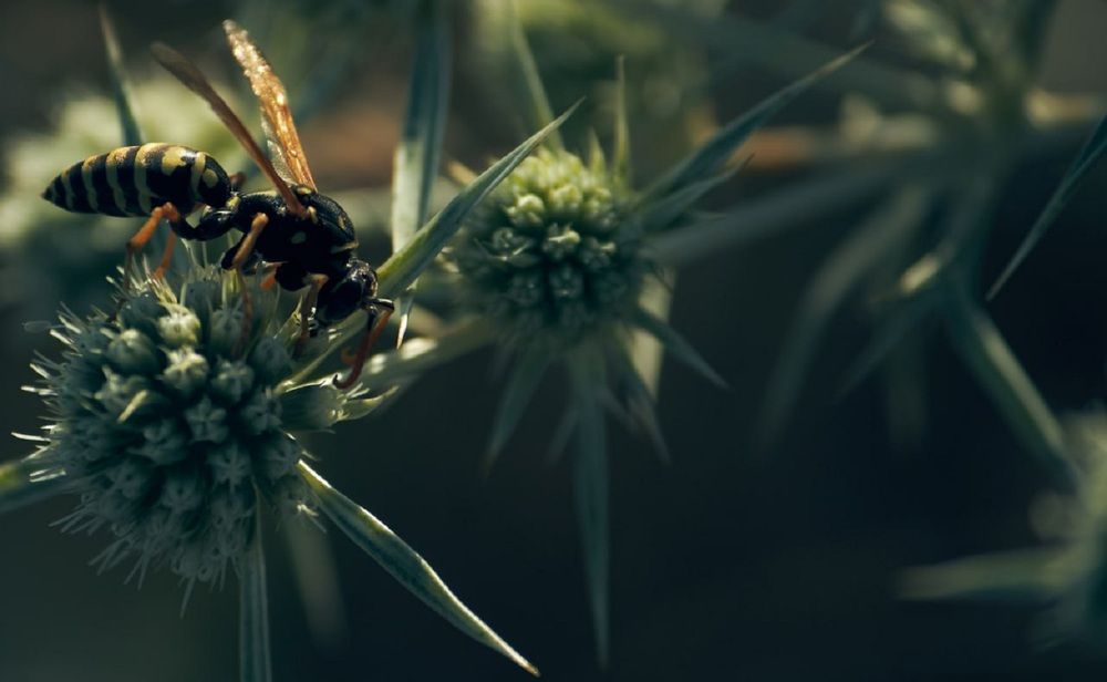 Photograph by Екатерина Иванова