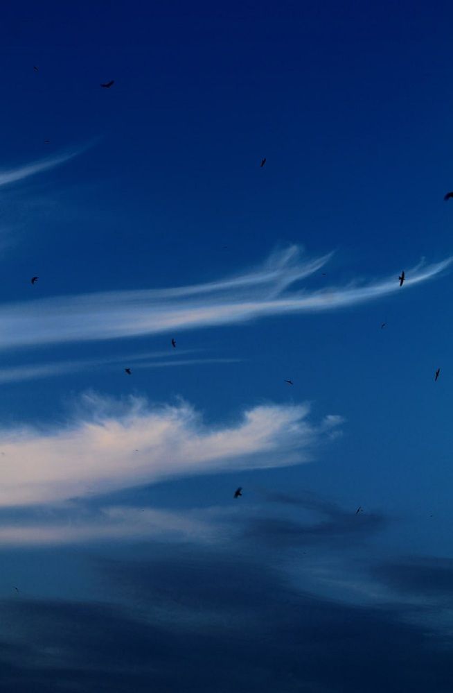 Photograph by Екатерина Иванова