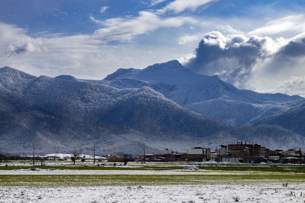 Photograph by Reza Zanganeh