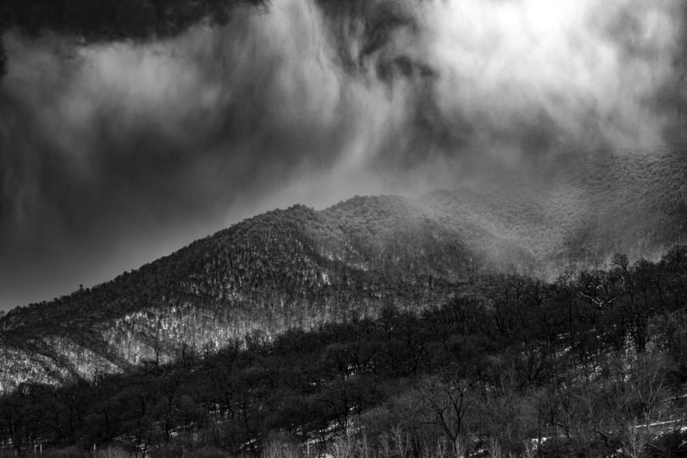 Photograph by Reza Zanganeh