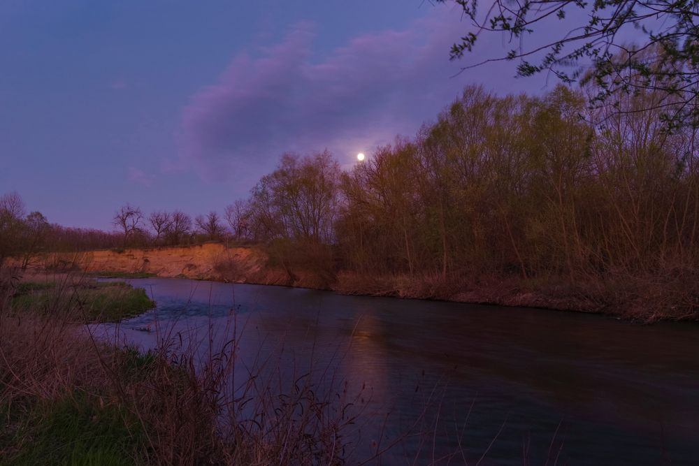 Photograph by Дина Железнова