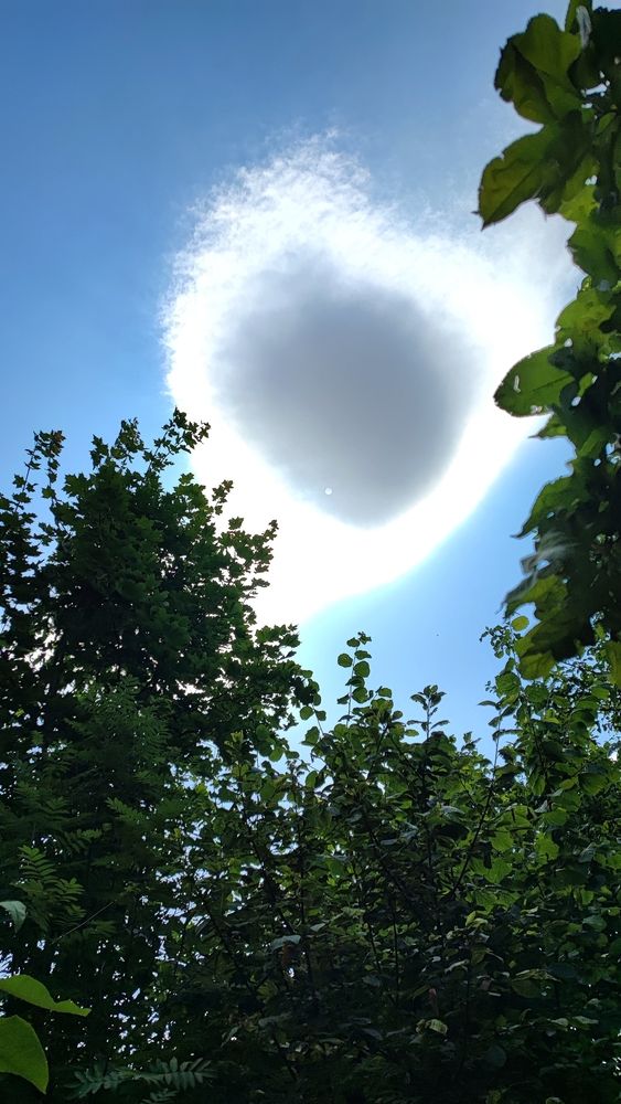 Photograph by Елена Юдина