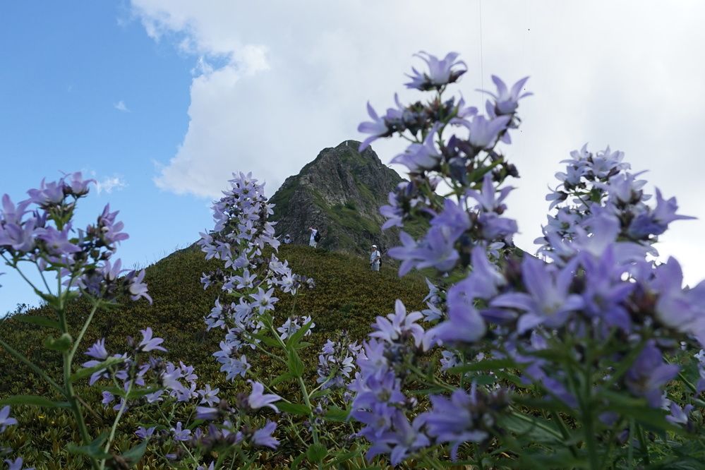 Photograph by Артём Пархоменко