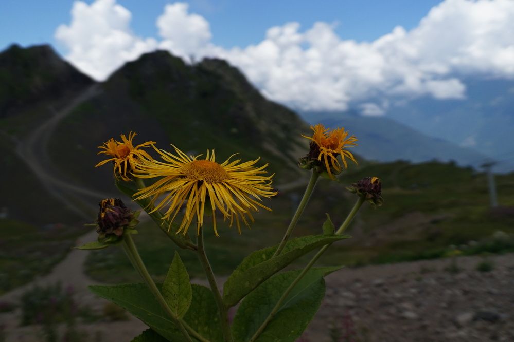 Photograph by Артём Пархоменко