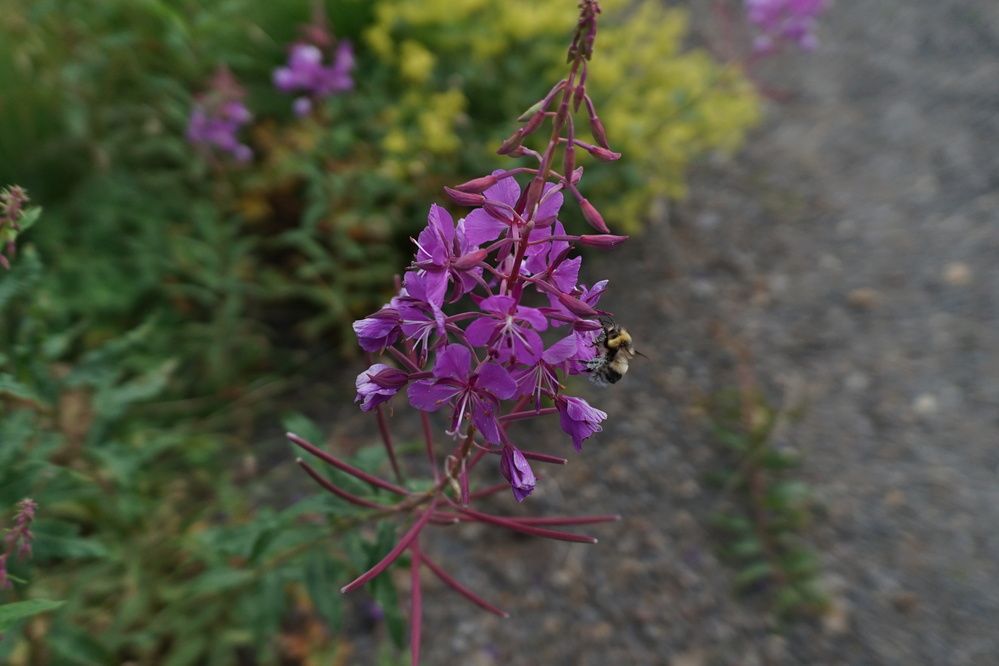Photograph by Артём Пархоменко